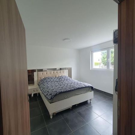 Bel Appartement Rez De Jardin Horbourg-Wihr Extérieur photo